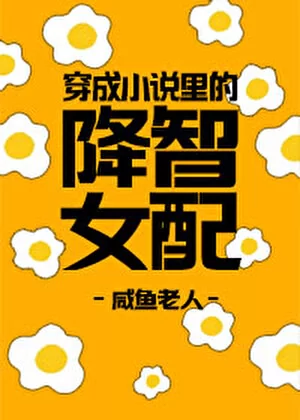 Novel Banner