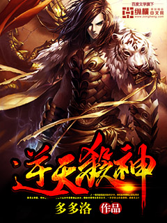 Novel Banner