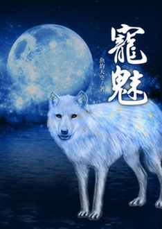 Novel Banner