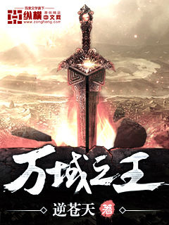 Novel Banner