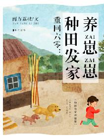 Novel Banner