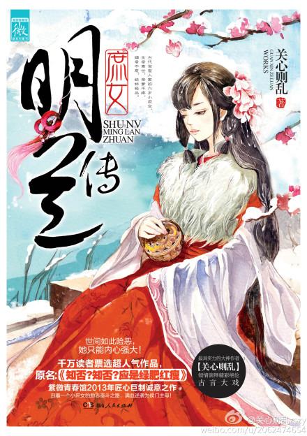 Novel Banner