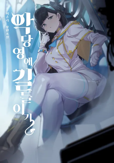 Novel Banner