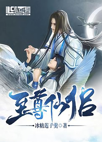 Novel Banner