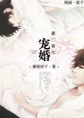 Novel Banner