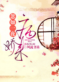 Novel Banner