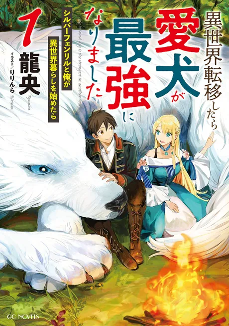 Novel Banner
