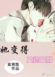 Novel Banner