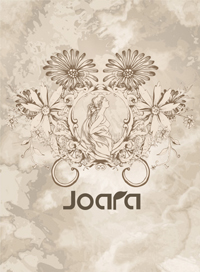 Novel Banner