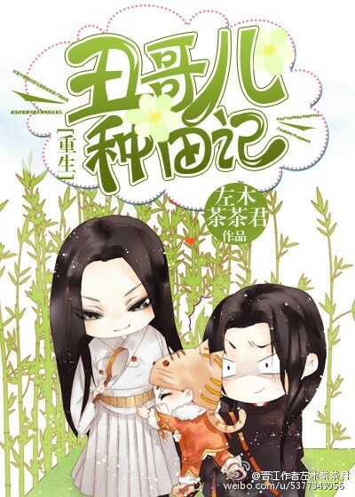 Novel Banner