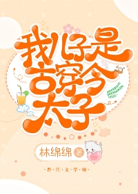 Novel Banner