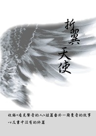 Novel Banner