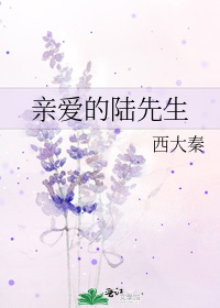 Novel Banner