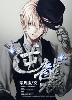 Novel Banner