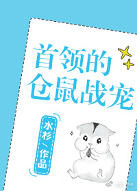Novel Banner