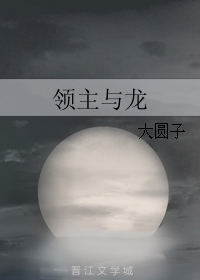 Novel Banner