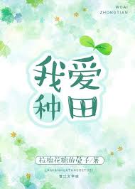 Novel Banner