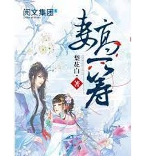 Novel Banner