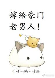 Novel Banner