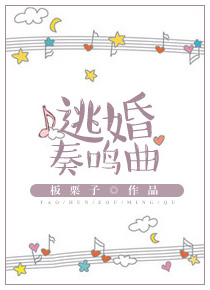 Novel Banner