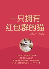 Novel Banner