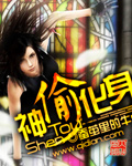 Novel Banner