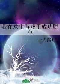 Novel Banner