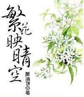Novel Banner
