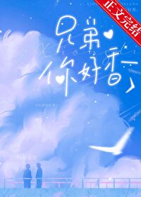 Novel Banner