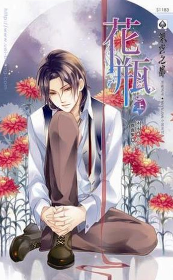 Novel Banner