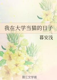 Novel Banner