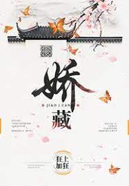 Novel Banner