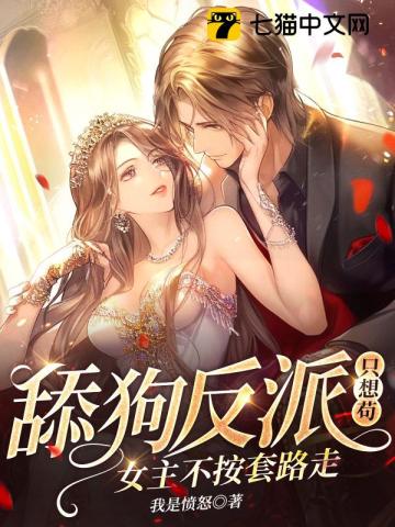 Novel Banner