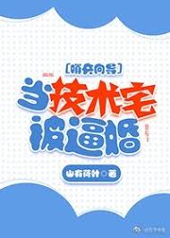 Novel Banner