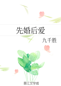 Novel Banner