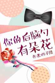 Novel Banner