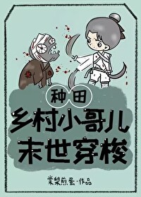 Novel Banner