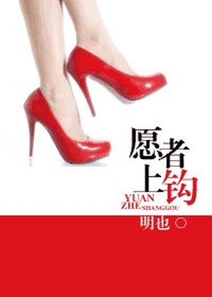 Novel Banner
