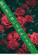 Novel Banner