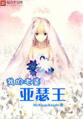 Novel Banner