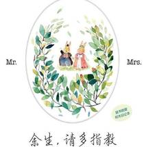 Novel Banner