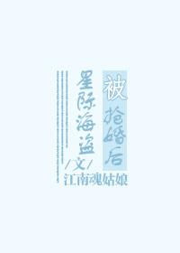Novel Banner
