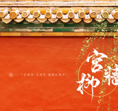 Novel Banner