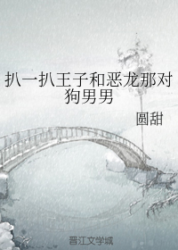 Novel Banner