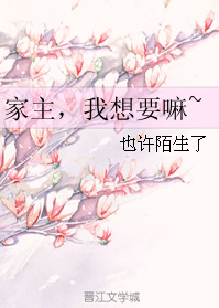 Novel Banner
