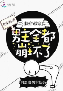 Novel Banner