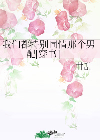 Novel Banner
