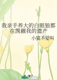 Novel Banner