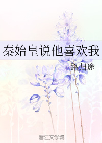 Novel Banner