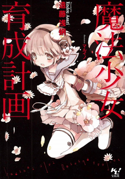 Novel Banner